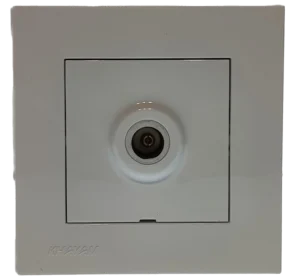 فیش آنتن آرام سفید